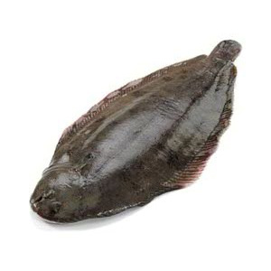 Fish-Dover_Sole